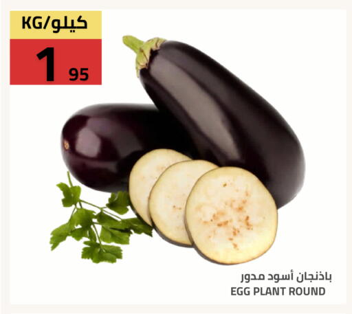 available at Astra Markets in KSA, Saudi Arabia, Saudi - Tabuk