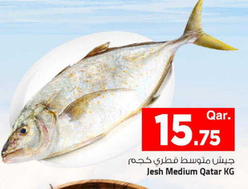 available at مارك & سيف in قطر - الريان