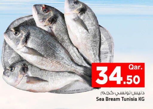available at مارك & سيف in قطر - الريان