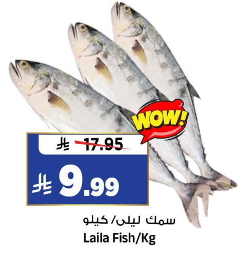 available at Al Madina Hypermarket in KSA, Saudi Arabia, Saudi - Riyadh