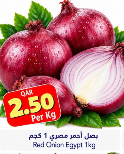 Onion from Egypt available at جلف فود سنتر in قطر - الدوحة