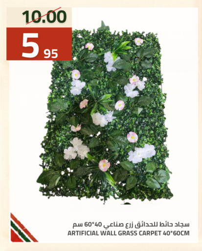 متوفر لدى أسواق أسترا في مملكة العربية السعودية, السعودية, سعودية - تبوك