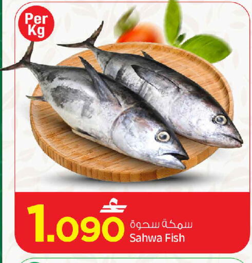 available at MARK & SAVE in Oman - Muscat