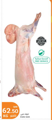 available at City Hypermarket in Qatar - Al Rayyan