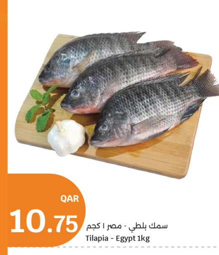 available at سيتي هايبرماركت in قطر - الخور