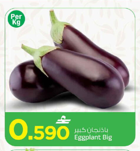 Eggplant available at MARK & SAVE in Oman - Muscat