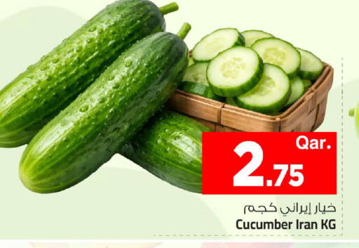 Cucumber from Iran available at Mark & Save  in Qatar - Al Rayyan