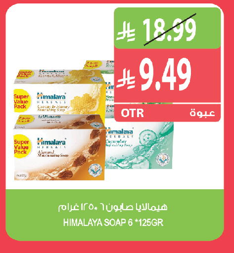 Cucumber available at المزرعة in مملكة العربية السعودية, السعودية, سعودية - الخبر‎