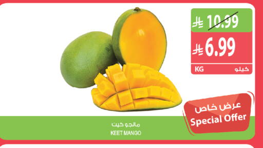 Mango available at المزرعة in مملكة العربية السعودية, السعودية, سعودية - الخبر‎