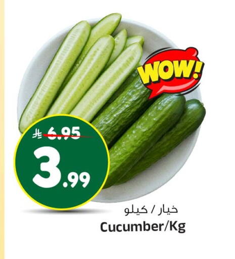 Cucumber available at المدينة هايبرماركت in مملكة العربية السعودية, السعودية, سعودية - الرياض