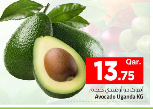 Avocado from Uganda available at Mark & Save  in Qatar - Al Rayyan