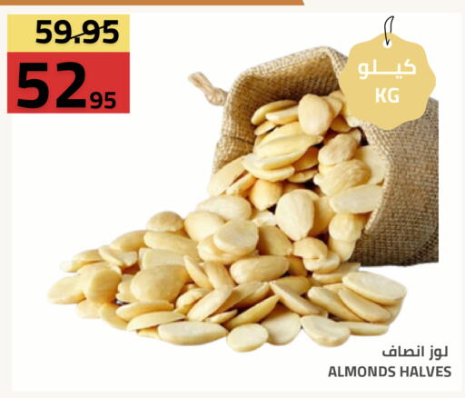 available at Astra Markets in KSA, Saudi Arabia, Saudi - Tabuk
