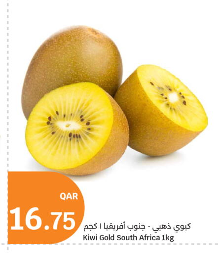 Kiwi from South Africa available at City Hypermarket in Qatar - Al Rayyan