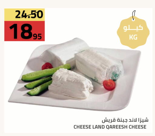 متوفر لدى أسواق أسترا في مملكة العربية السعودية, السعودية, سعودية - تبوك