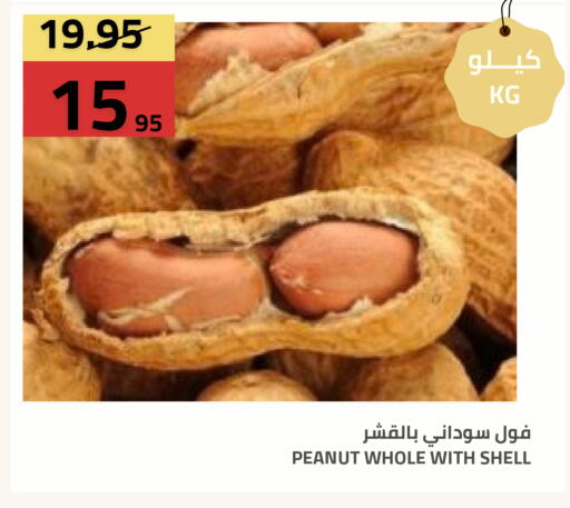 available at Astra Markets in KSA, Saudi Arabia, Saudi - Tabuk