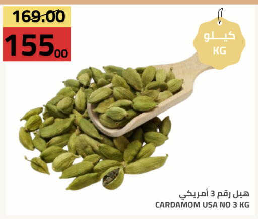 Cardamom متوفر لدى أسواق أسترا في مملكة العربية السعودية, السعودية, سعودية - تبوك