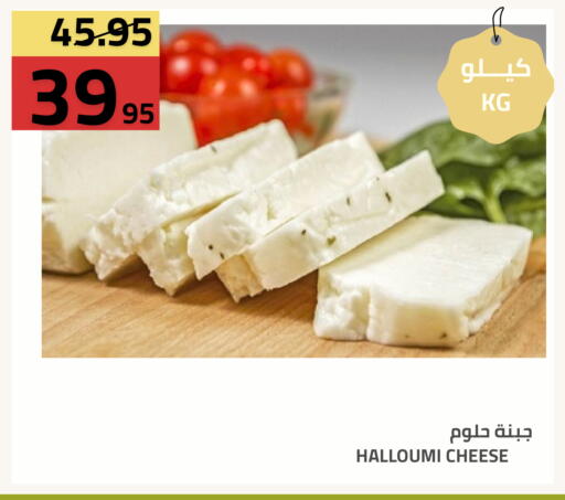 available at Astra Markets in KSA, Saudi Arabia, Saudi - Tabuk