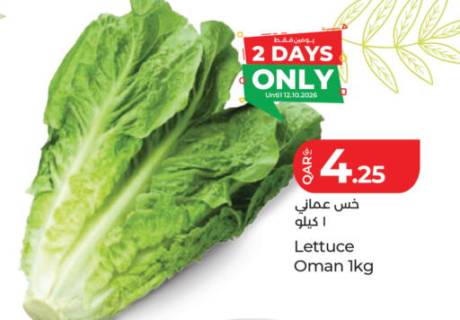 Lettuce from Oman available at LuLu Hypermarket in Qatar - Doha