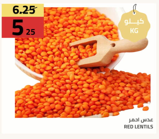 available at Astra Markets in KSA, Saudi Arabia, Saudi - Tabuk