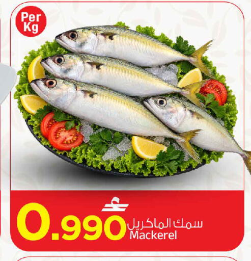 available at MARK & SAVE in Oman - Muscat