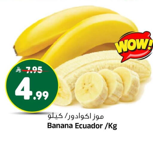 Banana from Ecuador available at Al Madina Hypermarket in KSA, Saudi Arabia, Saudi - Riyadh