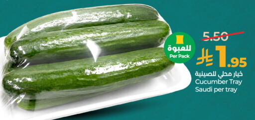 Cucumber from Saudi Arabia available at LULU Hypermarket in KSA, Saudi Arabia, Saudi - Riyadh