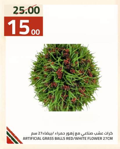 متوفر لدى أسواق أسترا في مملكة العربية السعودية, السعودية, سعودية - تبوك