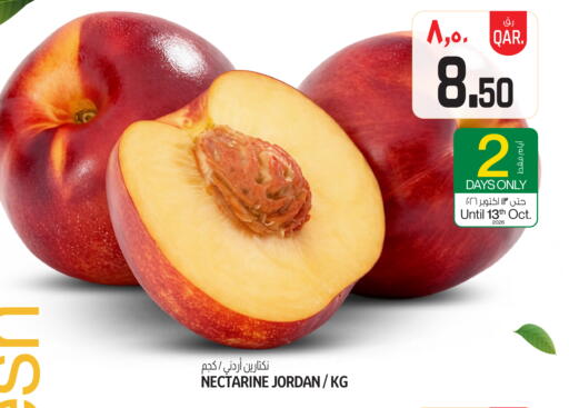 Nectarine from Jordan available at Saudia Hypermarket in Qatar - Doha