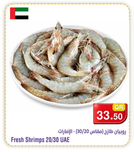 available at ميغا مارت in قطر - الوكرة