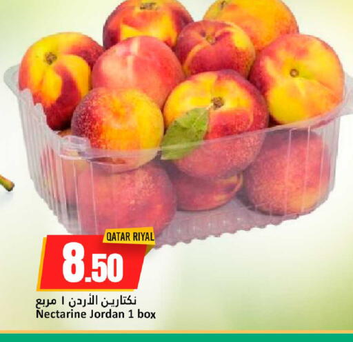 Nectarine from Qatar Jordan available at دانة هايبرماركت in قطر - الريان
