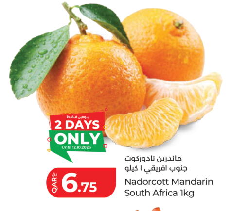 Mandarin from South Africa available at LuLu Hypermarket in Qatar - Doha