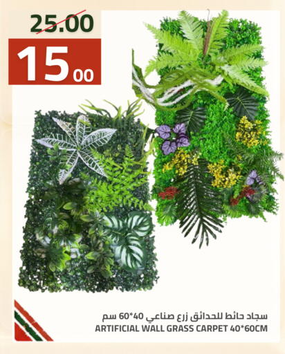 متوفر لدى أسواق أسترا في مملكة العربية السعودية, السعودية, سعودية - تبوك