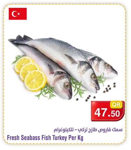 available at Megamart in Qatar - Doha