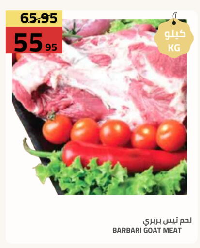 متوفر لدى أسواق أسترا في مملكة العربية السعودية, السعودية, سعودية - تبوك