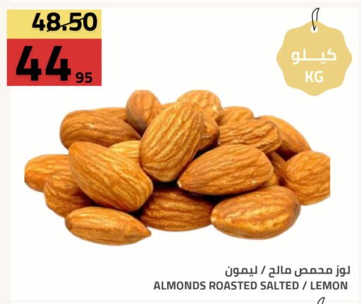 Lemon available at Astra Markets in KSA, Saudi Arabia, Saudi - Tabuk