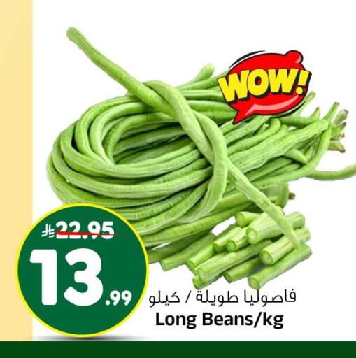 available at المدينة هايبرماركت in مملكة العربية السعودية, السعودية, سعودية - الرياض