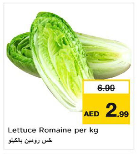 Lettuce available at نستو هايبرماركت in الإمارات العربية المتحدة , الامارات - ٱلْفُجَيْرَة‎