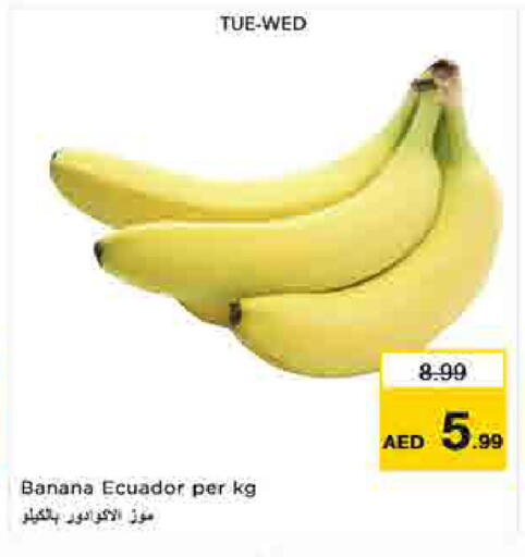 Banana from Ecuador available at لاست تشانس in الإمارات العربية المتحدة , الامارات - ٱلْفُجَيْرَة‎