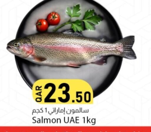 available at دانا ماركت in قطر - الشمال