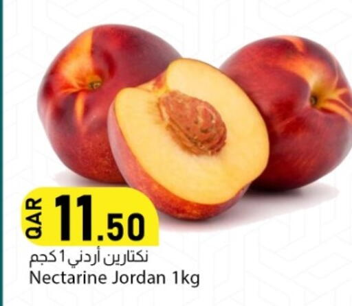 Nectarine from Jordan available at دانا ماركت in قطر - الشمال