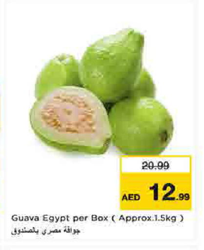 Guava from Egypt available at لاست تشانس in الإمارات العربية المتحدة , الامارات - ٱلْفُجَيْرَة‎
