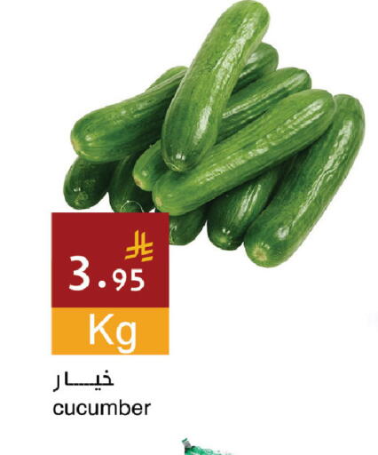 Cucumber available at Hala Markets in KSA, Saudi Arabia, Saudi - Jeddah