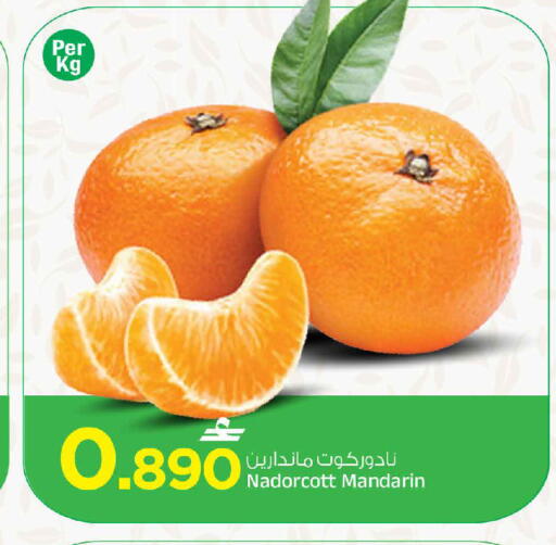 Mandarin available at MARK & SAVE in Oman - Muscat