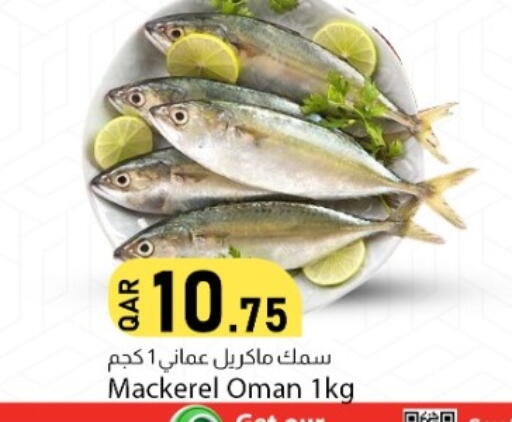 available at دانا ماركت in قطر - الشمال