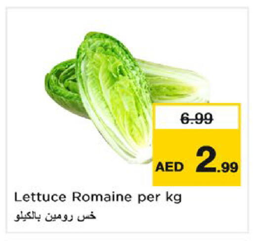 Lettuce available at نستو هايبرماركت in الإمارات العربية المتحدة , الامارات - أم القيوين‎