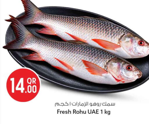 available at سفاري هايبر ماركت in قطر - الريان
