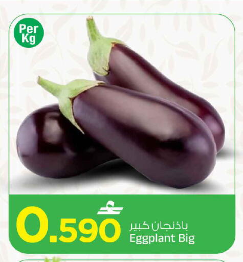 Eggplant available at MARK & SAVE in Oman - Muscat
