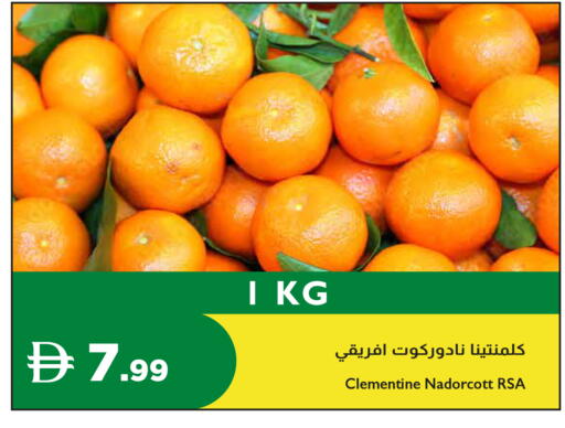 available at إسطنبول سوبرماركت in الإمارات العربية المتحدة , الامارات - رَأْس ٱلْخَيْمَة