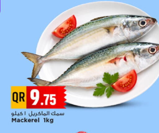 available at مرزا هايبرماركت in قطر - الدوحة