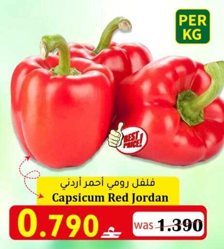 Capsicum from Jordan available at Al Muzn Shopping Center in Oman - Muscat